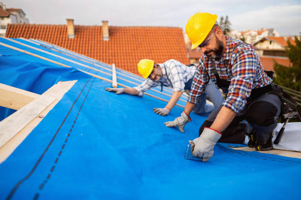 Best Gutter Installation and Roofing  in Elida, OH